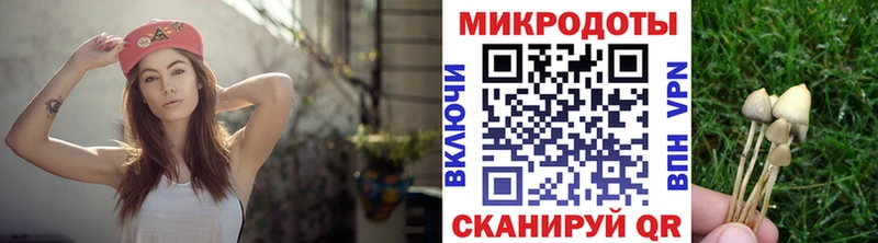 Галлюциногенные грибы прущие грибы  Мещовск 